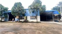 X105 chuyển nhượng nhà xưởng đang SX gỗ Xuất khẩu, khung thép kiên