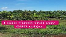 BÁN 1 Sào vườn trái cây xum xuê  Thuộc Xã Cây Gáo Trảng Bom_ĐN
