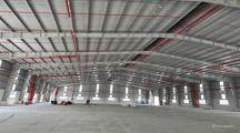 Cho thuê xưởng sản xuất KCN Nhơn Trạch, Đồng Nai, 5ha, giá thuê 4.1 tỷ