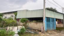 🏡 BÁN NHÀ CẤP 4 – 5x20m – 80m² THỔ CƯ – XÃ TÂN BÌNH, CÁCH DT 768 200m