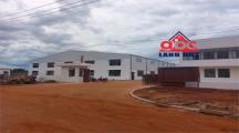 XT135 nhà xưởng sản xuất ngành nghề đa dạng, khung thép kiên cố trống