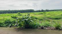 10.270m2 Đất Cách Hl6 Thạnh Phú Vĩnh Cửu 100m - Giá 19.5 Tỷ