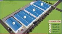 CHO THUÊ KHO XƯỞNG MỚI XÂY ,XÃ BÌNH SƠN ,LONG THÀNH  DT 8238M²