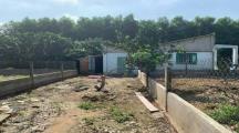 Bán Nhà Vườn xã Bình Lợi huyện Vĩnh Cửu diện tích 1186 m² sổ riêng