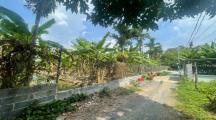 1500m2 Đất Lúa Cách Đ.Bình Hòa Cây Dương P.Tân Bình Vĩnh Cửu 100m