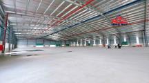 Cho thuê gấp xưởng an phước long thành 5000m2 giá 300tr/1 tháng