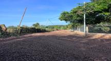 CHÍNH CHỦ BÁN ĐẤT VƯỜN TẠI QUANG TRUNG - THỐNG NHẤT DIỆN TÍCH 1000m2