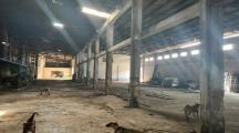 BÁN NHÀ XƯỞNG 32.000m² NGAY QL51 – ĐỒNG NAI  Phường Phước Tân
