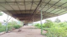 Cho thuê đất và xưởng tạm 9000m2 - Quảng Tiến - Trảng Bom