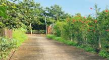 bán 2800m² có 300m² thổ cư xã hưng lộc ,huyện thống nhất