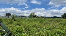 bán 8500m² đất có thổ cư  tại phường tam phước ,biên hòa