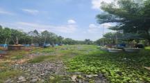Bán 10000m² đất sổ riêng tại xã bình minh giá 16 tỷ