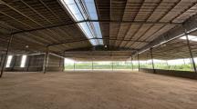 Bán gấp xưởng tân an vĩnh cửu 13.000m2 giá 20tỷ
