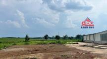 D332 chuyển nhượng đất chủ trương phân bón hữu cơ, sẵn đất bàn giao
