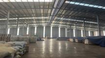 Cho thuê gấp kho chứa hàng phước tân 5000m2 giá 350tr/1 tháng