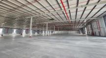 Cho thuê gấp xưởng kcn an phước long thành 7620m2 giá 110k/1m2