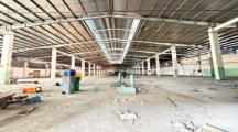 Cho thuê gấp kho chứa hàng hố nai 4300m2  giá 220tr/1 tháng