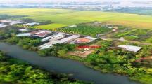 Bán đất vườn gần 1000m mặt tiền đường Bình Hoà. có sẵn 150m thổ cư. Gi