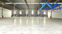 Cho thuê xưởng mới 100% 3000m2 KCN Hố Nai, Đồng Nai