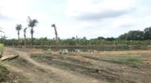 Bán gấpbloo đất sào trảng bom 4200m2 giá 2tỷ500