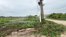 ĐẤT KHỦNG TÂN TRIỀU - GIÁ RẺ CỰC SỐC - CHỈ CẦN HƠN 700 TRIỆU LÀ SỞ HỮU