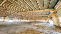 Cho thuê gấp xưởng 10.000m2 long thành giá 100k/1m2