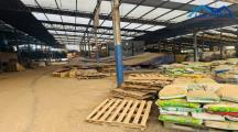 Bán xưởng 20.000m2 Full SKC giá rẻ chỉ 55 tỷ. Trảng Bom-Đồng Nai