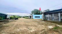 100m2 Đất Cách Ql1a 1.5km Hố Nai 3 Trảng Bom Cũ - 980 Triệu