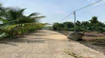 Bân gấp lô đất vườn bàu hàm trảng bom 7.700m2 giá 6tỷ500