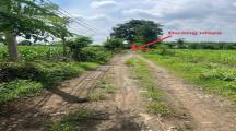 BÁN ĐẤT ĐẸP GIÁ RẺ CHỈ HƠN 420 triệu/sào có DT 10.123m²