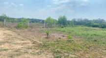 Bán gấp 900m2 đất sổ riêng tân bình vĩnh cửu giá 2tỷ700