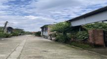 Bán Nhà Sân Vườn KP34 P. Long Bình
