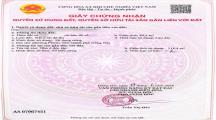 ĐỊNH CƯ NƯỚC NGOÀI BÁN GẤP CĂN NHÀ SỔ RIÊNG THỔ CƯ HOÀN CÔNG Ở CỔNG 11