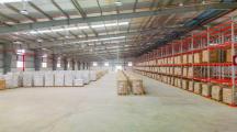 Cho thuê gấp toàn bộ nhà máy kcn long thành 60.000m2 giá 130k/1m2