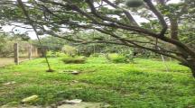 Cần bán  gấp lô đất sổ riêng tân bình vĩnh cửu 1.400m2 giá 3tỷ