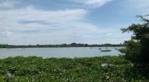 CƠ HỘI ĐẦU TƯ VÀNG – SỞ HỮU NGAY VƯỜN CÂY ĂN TRÁI 1.6HA TẠI PHÚ LÝ