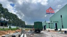 XT162 Sẵn Xưởng cho thuê phù hợp DN FDI, thu hút nhiều ngành nghề