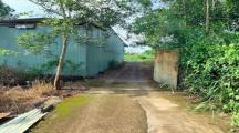 3.100m2 đất thổ cư sông thao trảng bom cần bán gấp giá 590tr/1 sào