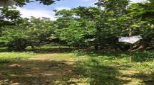 10.000m2 đất thổ cư ph tân triều giá 30tỷ