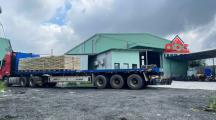 XN378 nhà xưởng kiên cố, khung thép tiền chế đang hoàn thiện, SX