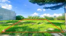 BUNG 30 LÔ SỔ RIÊNG 1 SẸC HƯƠNG LỘ 15 GIÁ ĐẦU TƯ F0 CHỈ 920TR