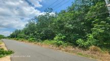 11.392m2 Đất Phước Bình Long Thành - 34.2 Tỷ
