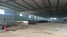 Cho thuê nhà xưởng dt 1200m tại phường long hưng mới