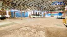 Cho thuê nhà xưởng giá rẻ chỉ 680 triệu 10.500m². Biên Hòa-Đồng Nai