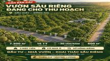 7300m2 Đất Vườn Sầu Riêng Dầu Giây Thống Nhất Cũ - 15 Tỷ