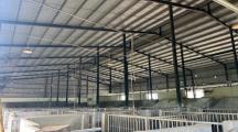 Bán gấp nhà xưởng sông thao trảng bom 28.000m2 giá 110tỷ